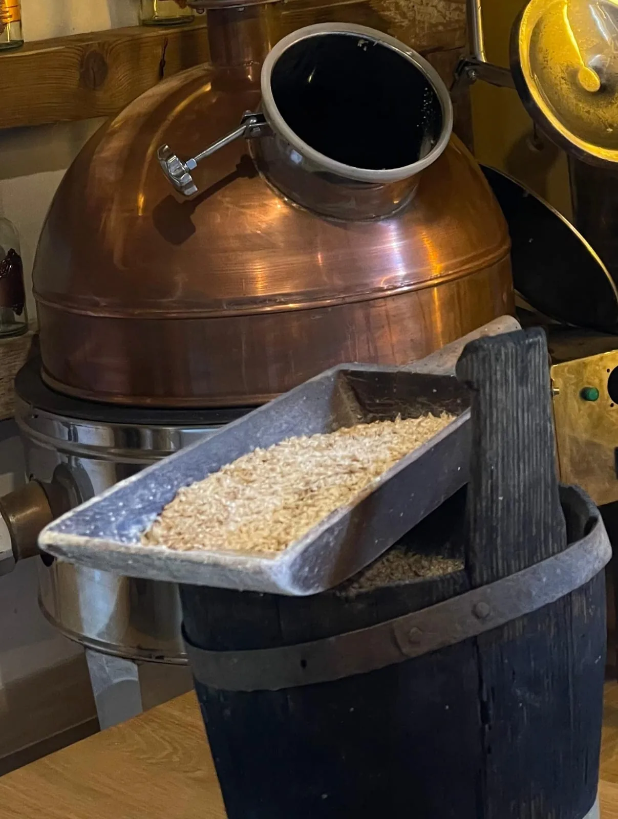 Hvarsko pivo — fotografija 1